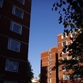 flat